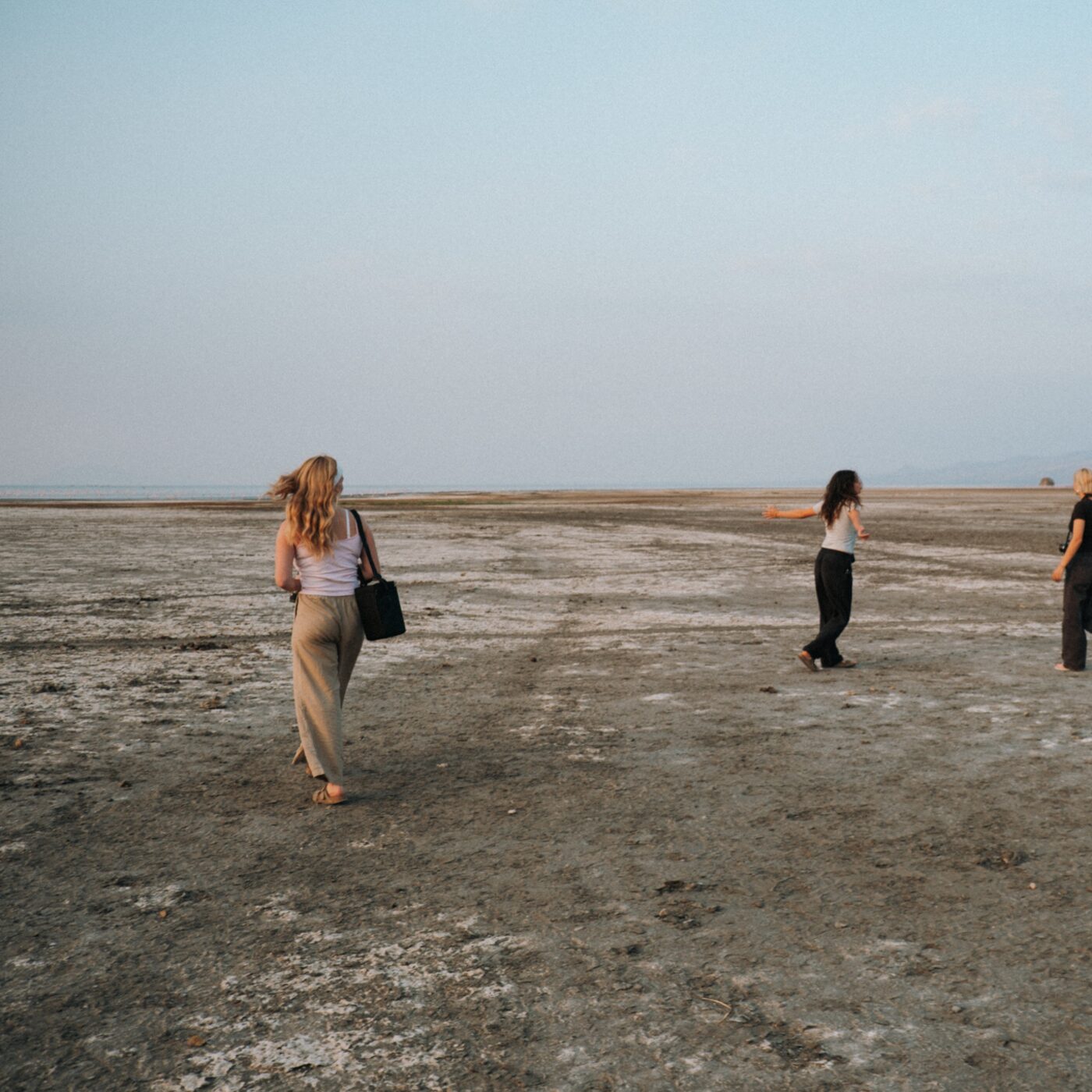 Walk to the flamingos